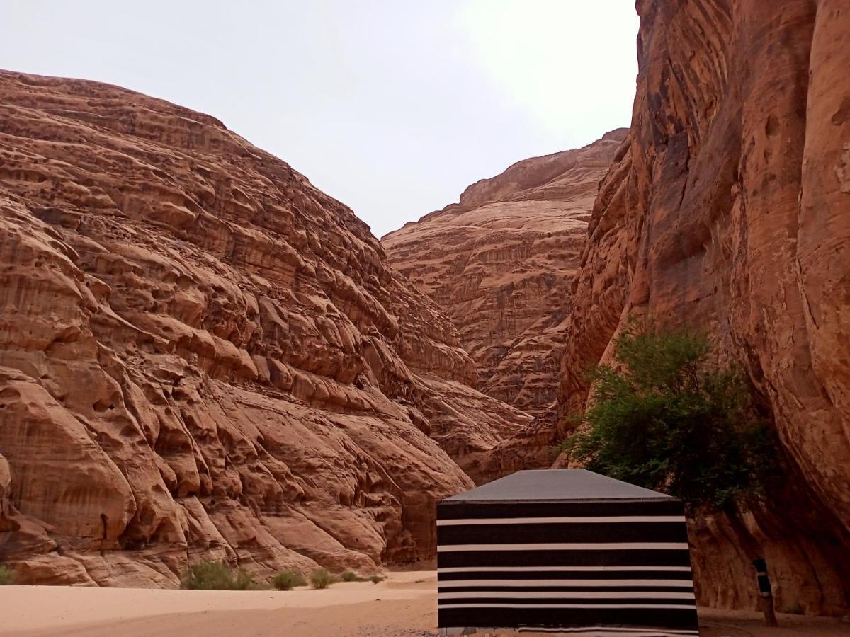 Shahrazad Desert, วาดิรัม ภายนอก รูปภาพ