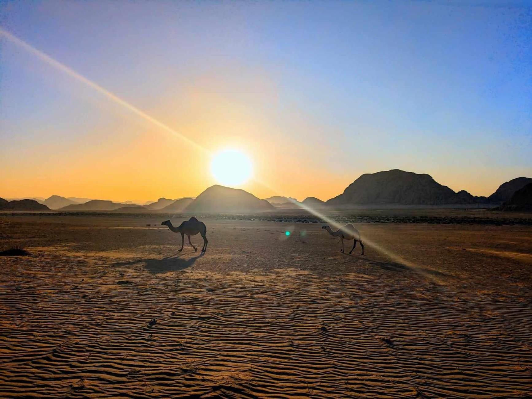 Shahrazad Desert, วาดิรัม ภายนอก รูปภาพ